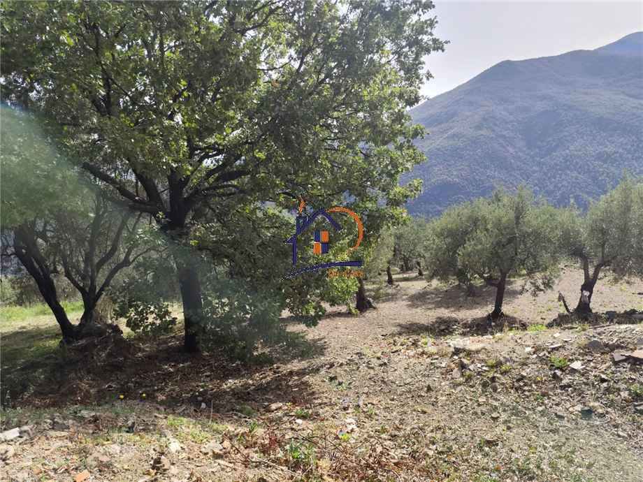 Vendita Terreno agricolo Corigliano-Rossano Rossano Scalo #448 n.2
