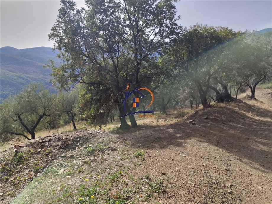 Vendita Terreno agricolo Corigliano-Rossano Rossano Scalo #448 n.3