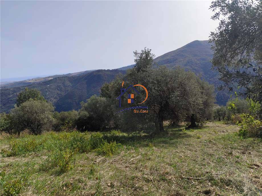 Vendita Terreno agricolo Corigliano-Rossano Rossano Scalo #448 n.5