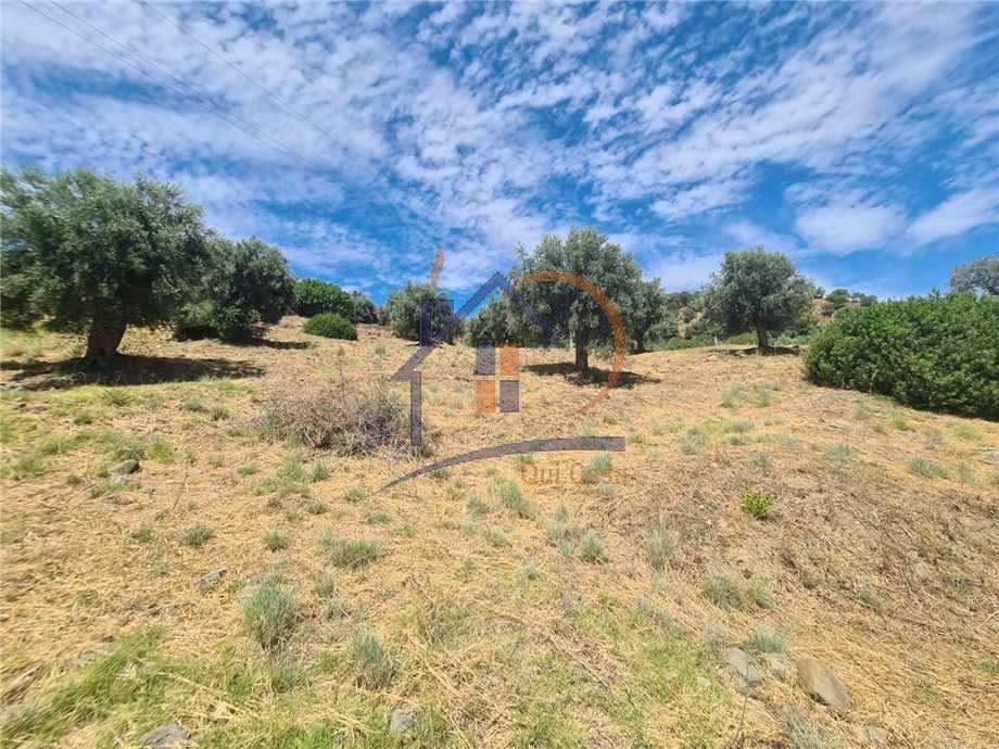 Venta Terreno agrícola Corigliano-Rossano Rossano Scalo #450 n.1