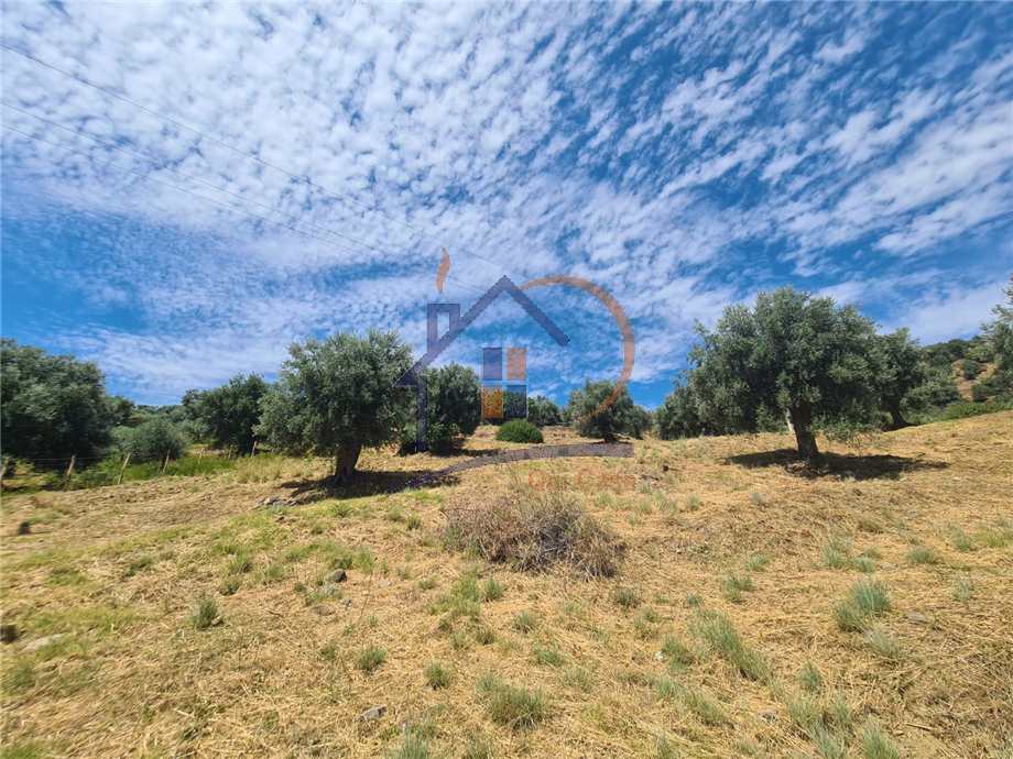 Venta Terreno agrícola Corigliano-Rossano Rossano Scalo #450 n.2