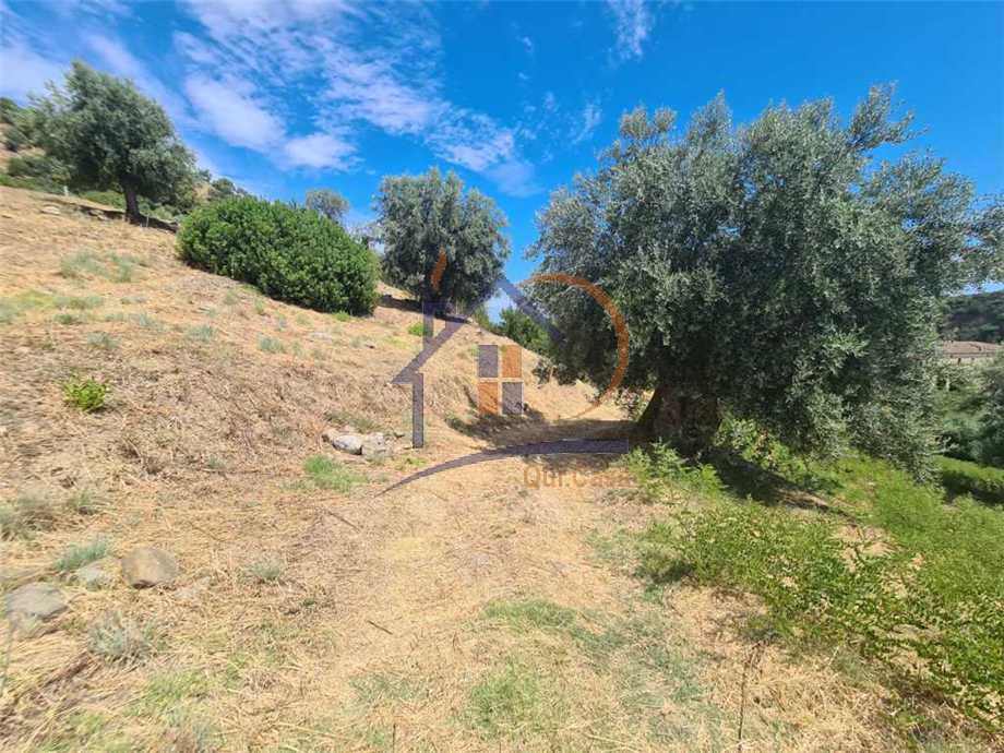 Venta Terreno agrícola Corigliano-Rossano Rossano Scalo #450 n.3