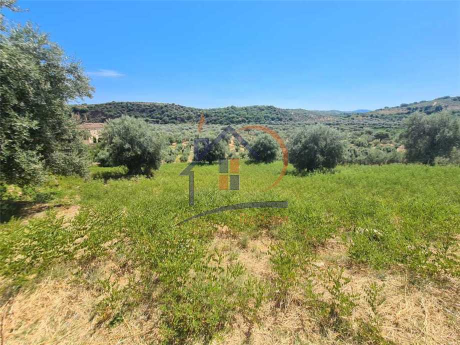 Venta Terreno agrícola Corigliano-Rossano Rossano Scalo #450 n.4