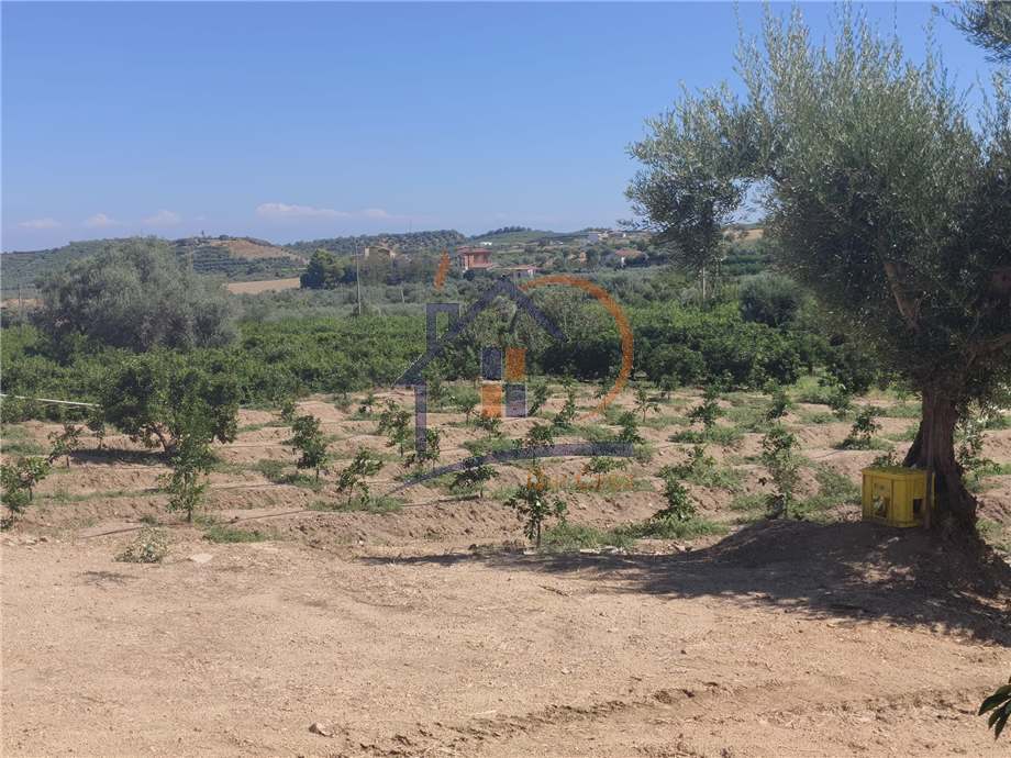 Vendita Terreno agricolo Corigliano-Rossano Rossano Scalo #451 n.2