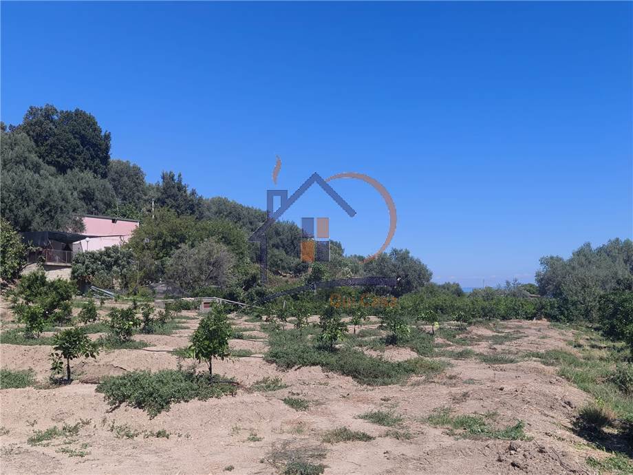 Vendita Terreno agricolo Corigliano-Rossano Rossano Scalo #451 n.3
