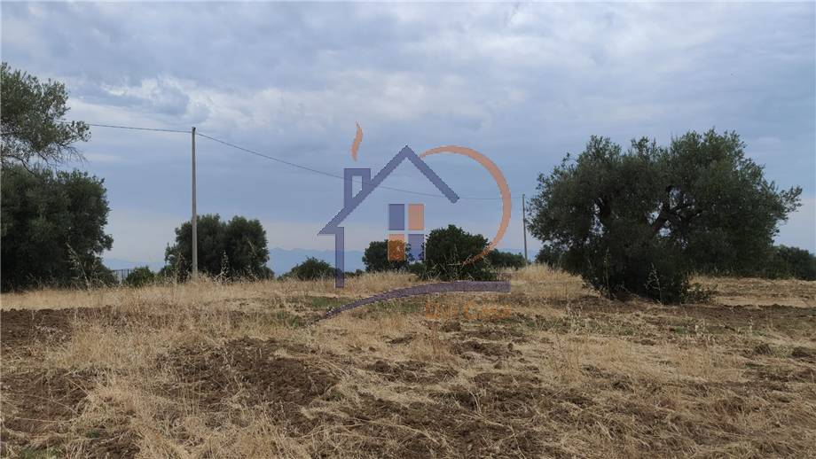 Venta Terreno agrícola Corigliano-Rossano Rossano Scalo #453 n.1