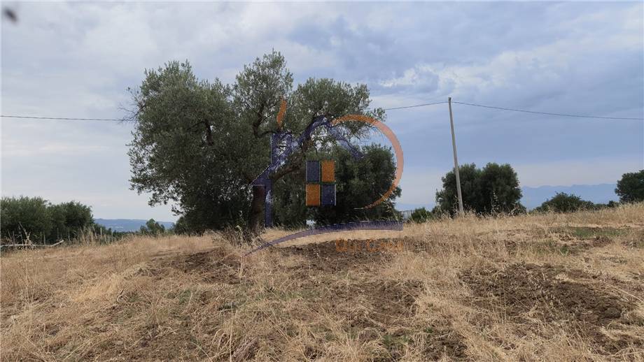 Venta Terreno agrícola Corigliano-Rossano Rossano Scalo #453 n.2