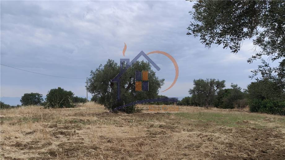 Venta Terreno agrícola Corigliano-Rossano Rossano Scalo #453 n.3