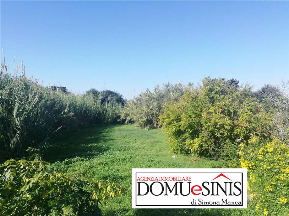 For sale Land Nurachi  #76 n.4