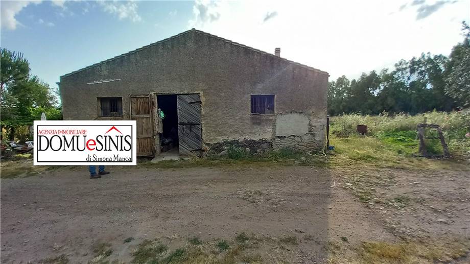 For sale Ruin Milis  #97 n.4