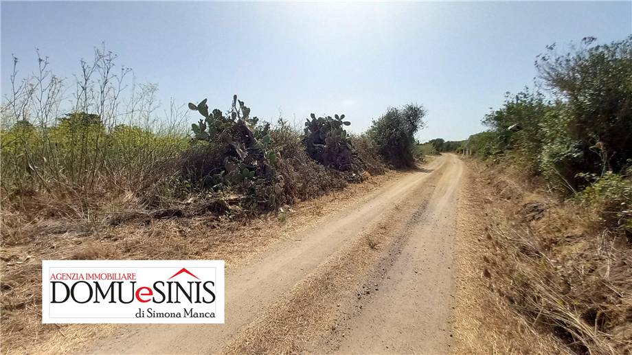 Venta Terreno Nurachi #101 n.3