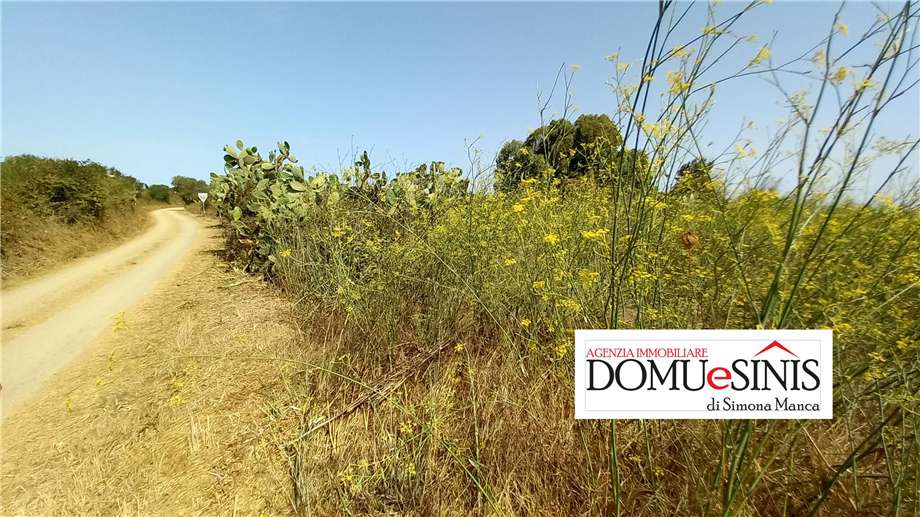 Venta Terreno Nurachi #101 n.4