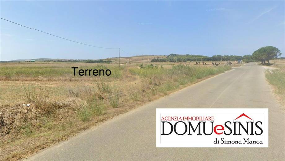 Terreno Riola Sardo 103