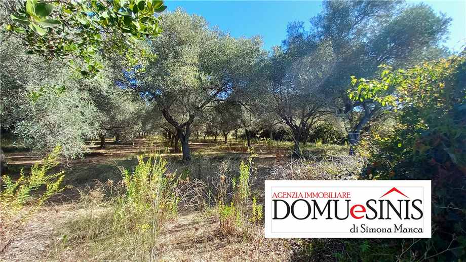 Venta Terreno Nurachi  #104 n.2