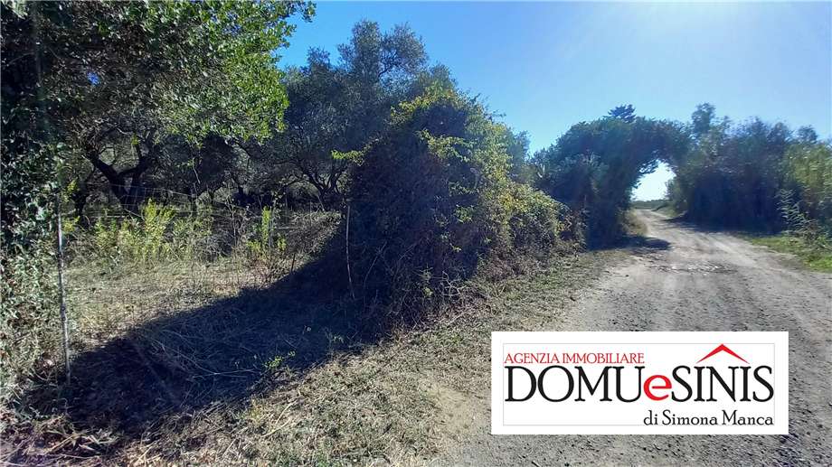 Venta Terreno Nurachi  #104 n.3