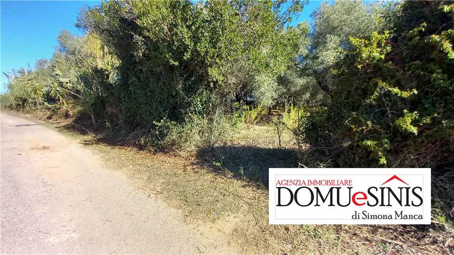 Venta Terreno Nurachi  #104 n.4