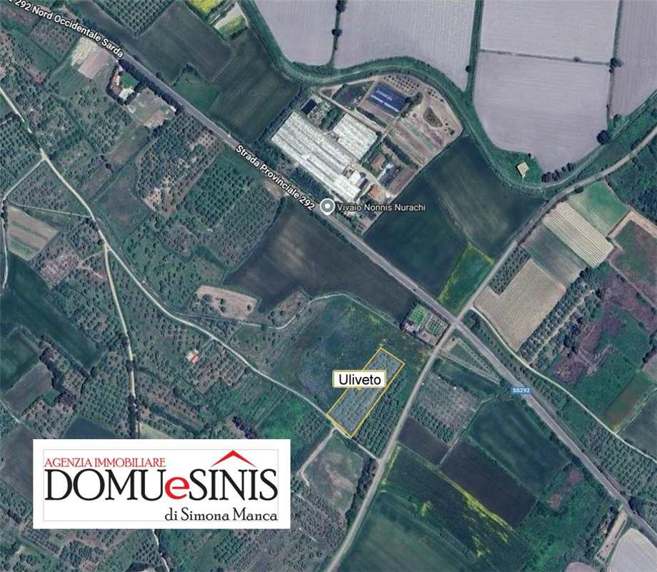 Venta Terreno Nurachi  #104 n.5