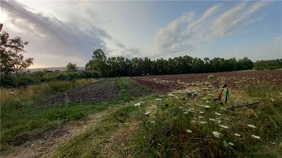 For sale Bare land Milis  #115 n.10