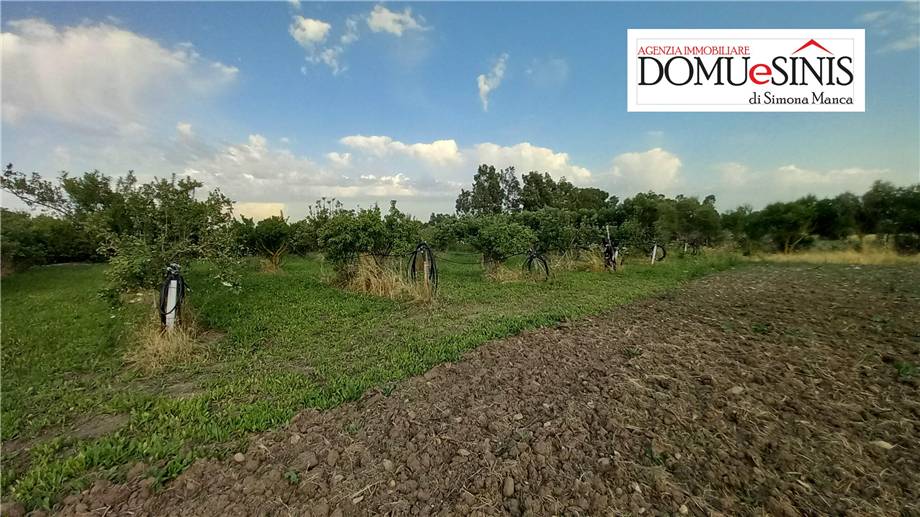 For sale Bare land Milis  #115 n.6