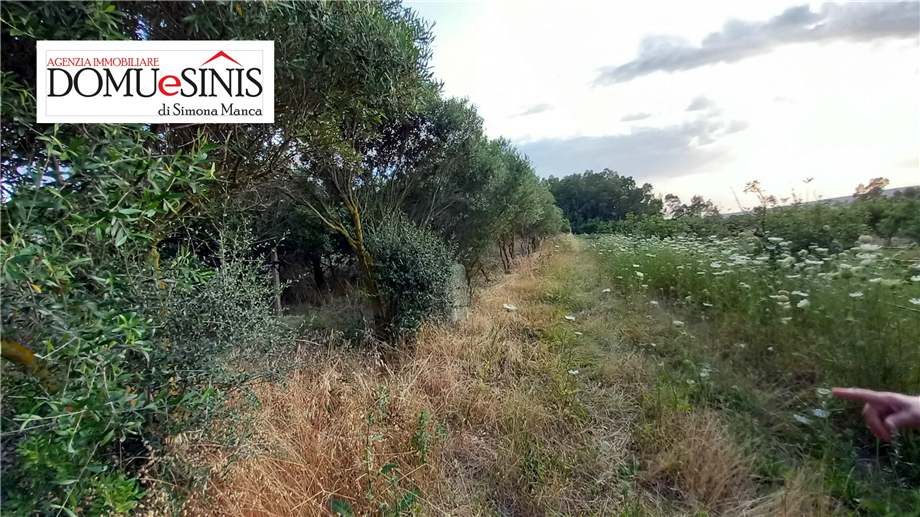 For sale Bare land Milis  #115 n.7