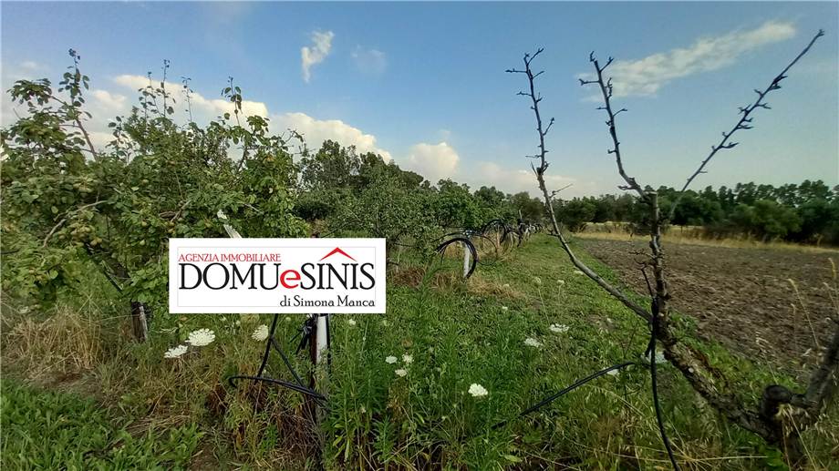 For sale Bare land Milis  #115 n.8