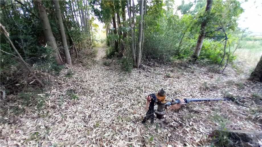 For sale Bare land Milis  #115 n.9