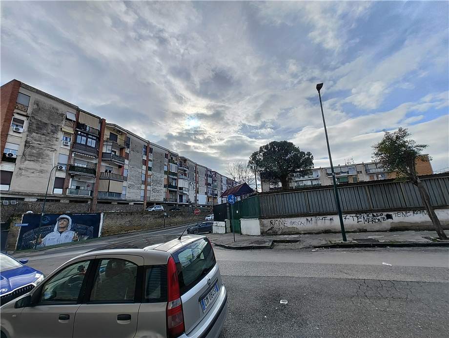 Alquiler Local comercial Napoli  #517 n.5