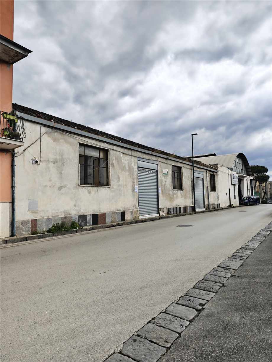 For sale Warehouse Napoli Zona quadrivio #555 n.4