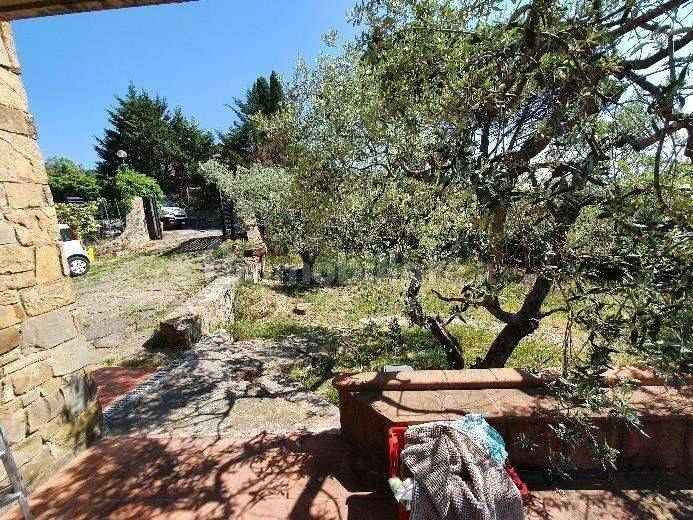 Vendita ASTA Appartamento Sesto Fiorentino  #2601 n.2