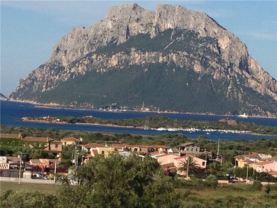 To rent Apartment Loiri Porto San Paolo Porto San Paolo #PSP2 n.2