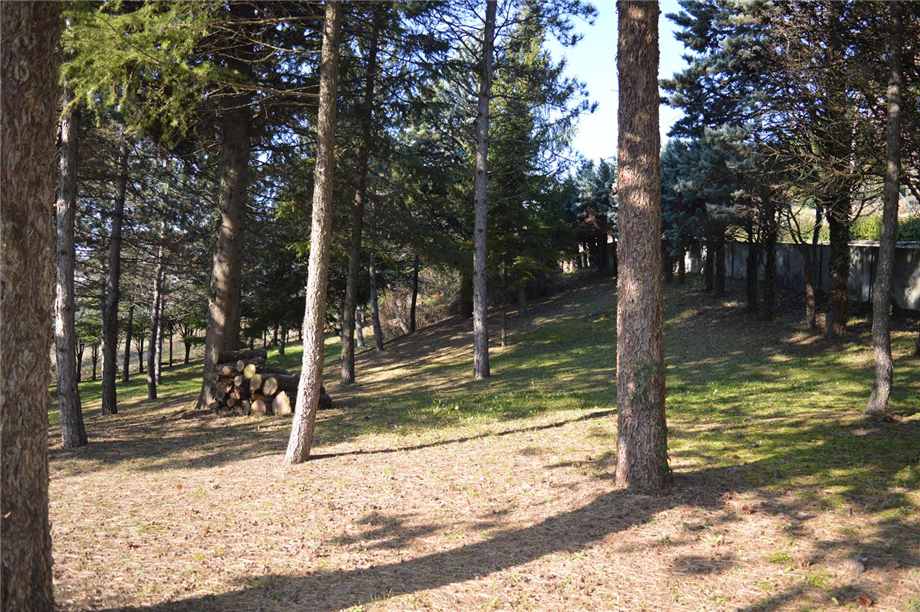Venta Terreno edificable Monterenzio Villa di Cassano #6 n.2