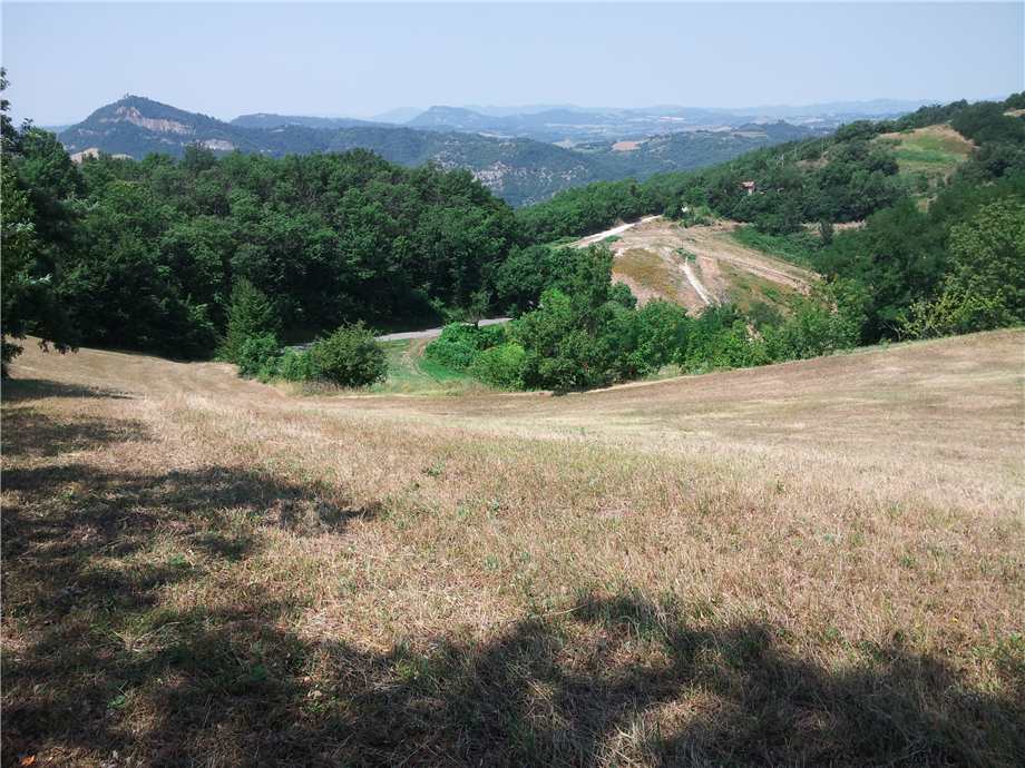Vendita Rustico/Casa di campagna Monterenzio  #89 n.3