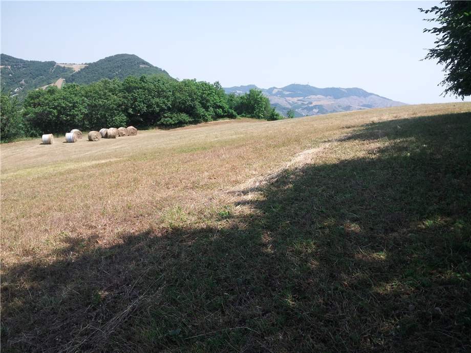 Vendita Rustico/Casa di campagna Monterenzio  #89 n.4