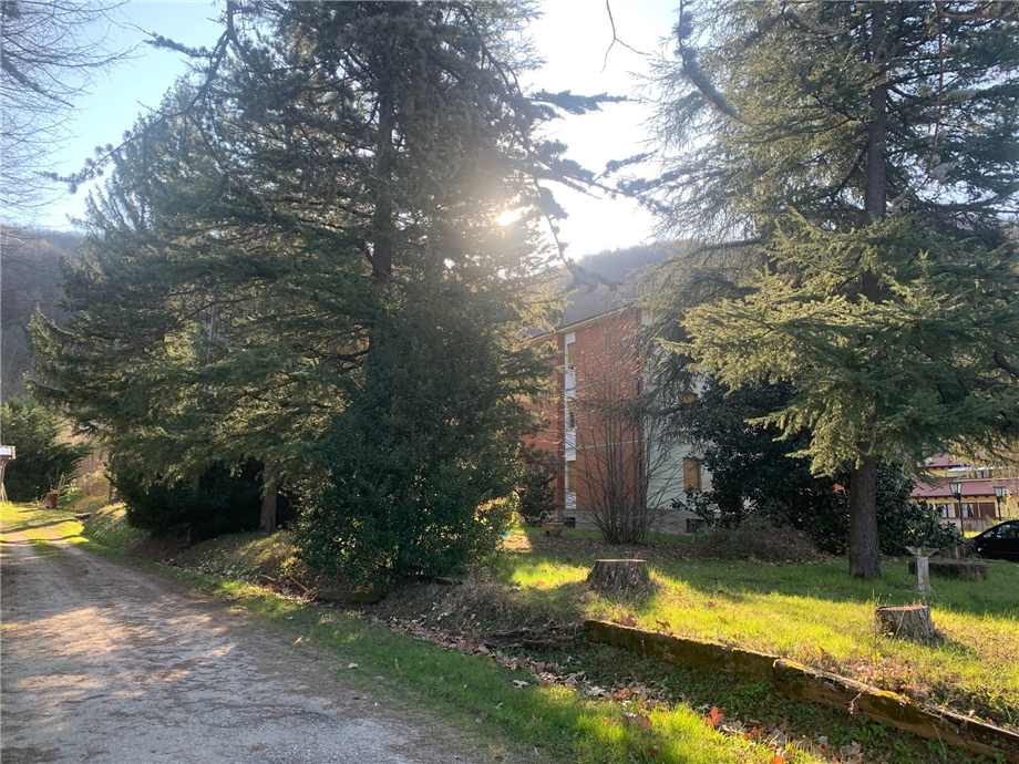 Vendita Appartamento Monterenzio Savazza #159 n.2