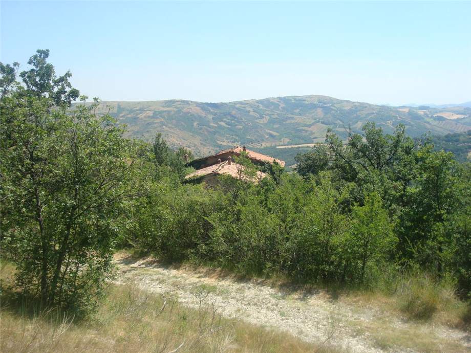For sale Country house Monterenzio Villa di Cassano #290 n.5