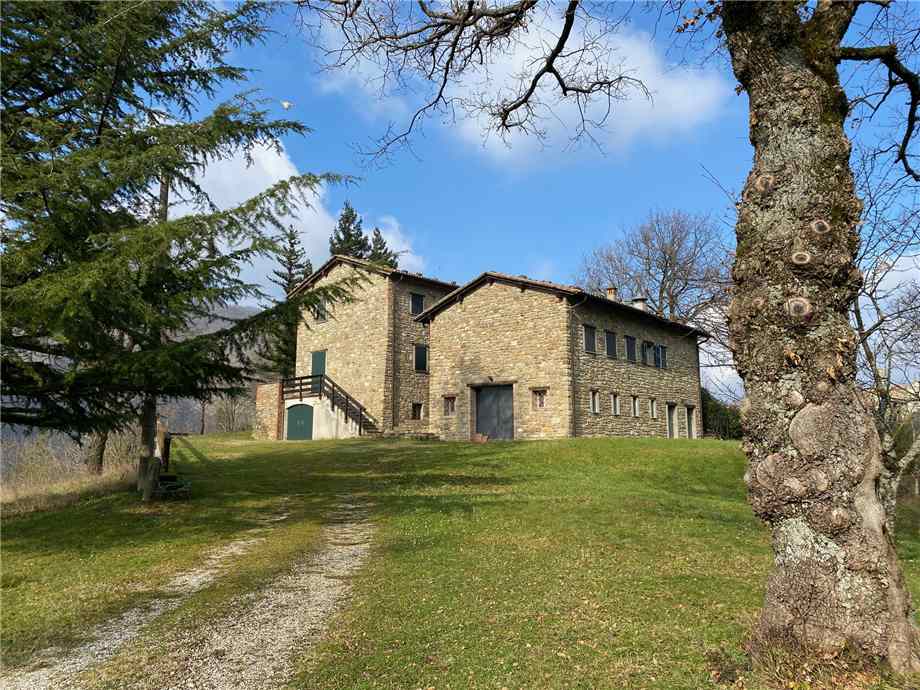 Two-family house Monterenzio 409