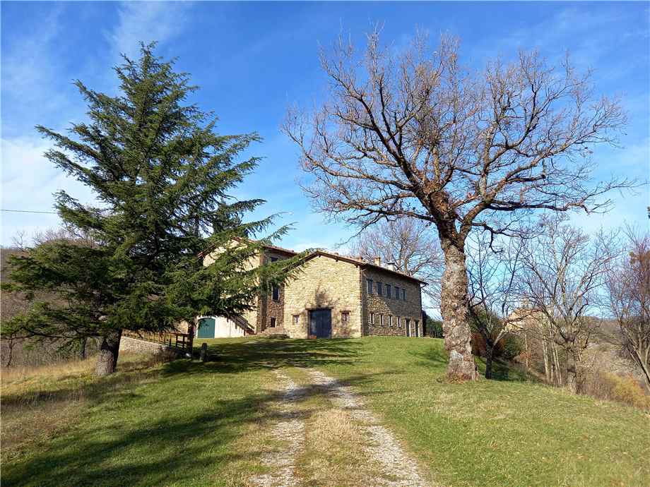 For sale Two-family house Monterenzio Bisano #409 n.4