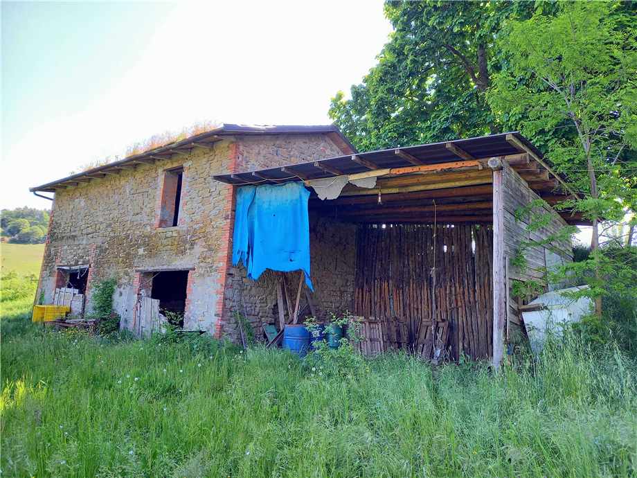For sale Casale/Cascina/Casa colonica Casalfiumanese Sassoleone #435 n.4