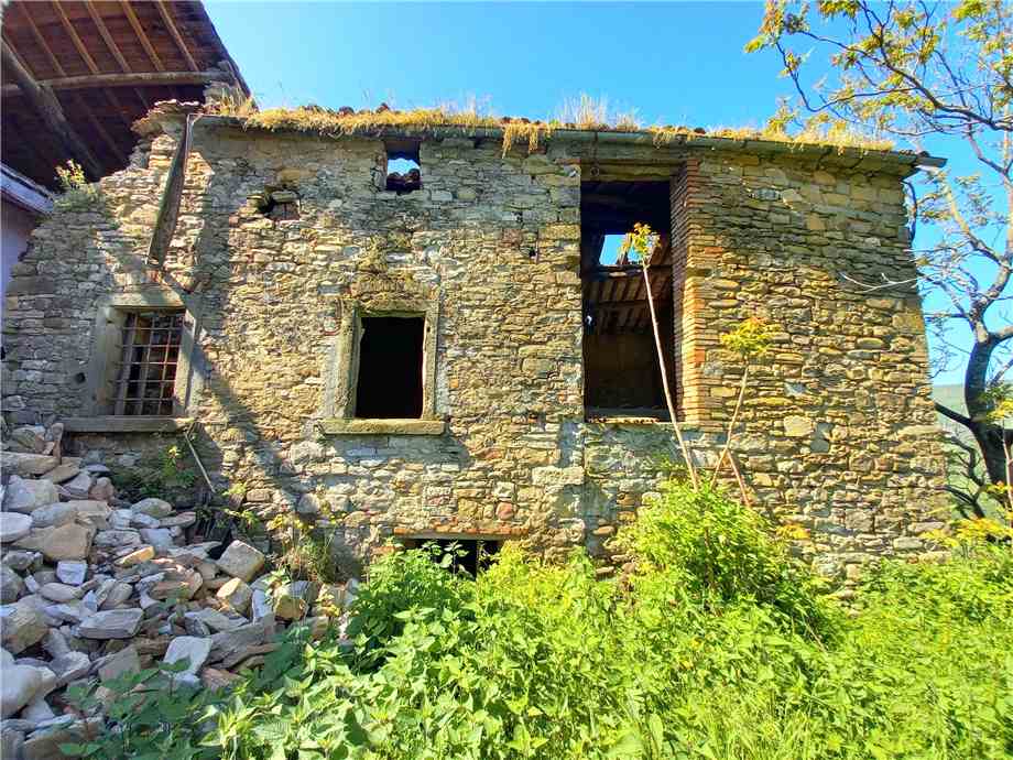 For sale Casale/Cascina/Casa colonica Casalfiumanese Sassoleone #435 n.5