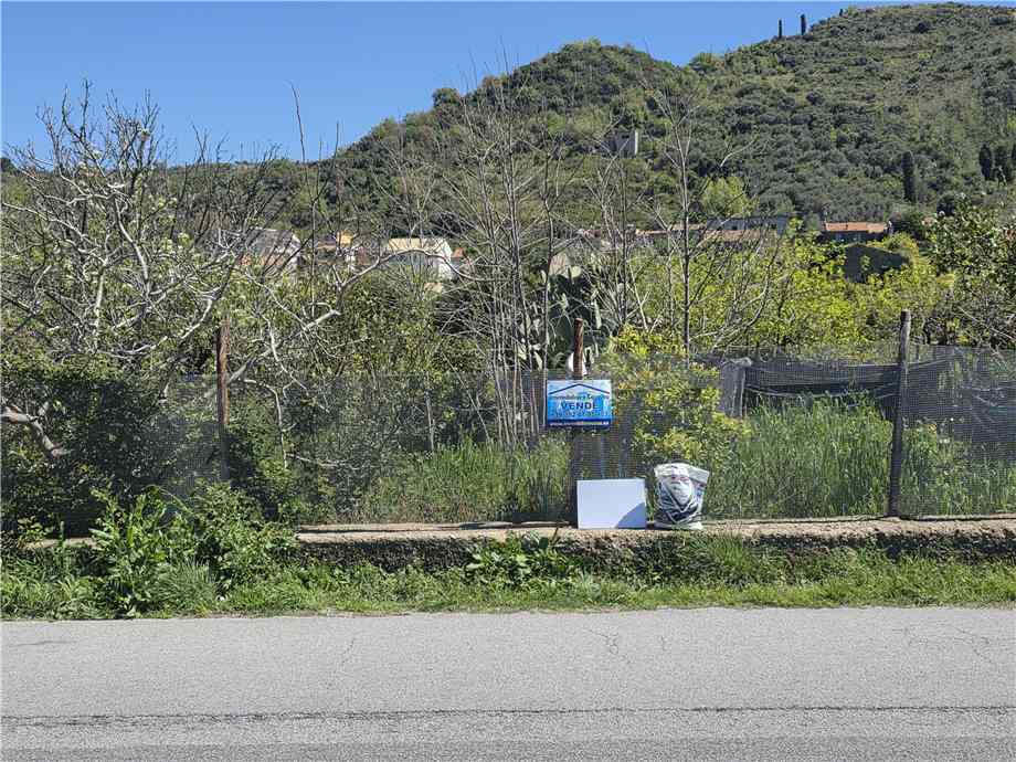 Vendita Terreno Saponara Via Kennedy, 35d #187 n.3