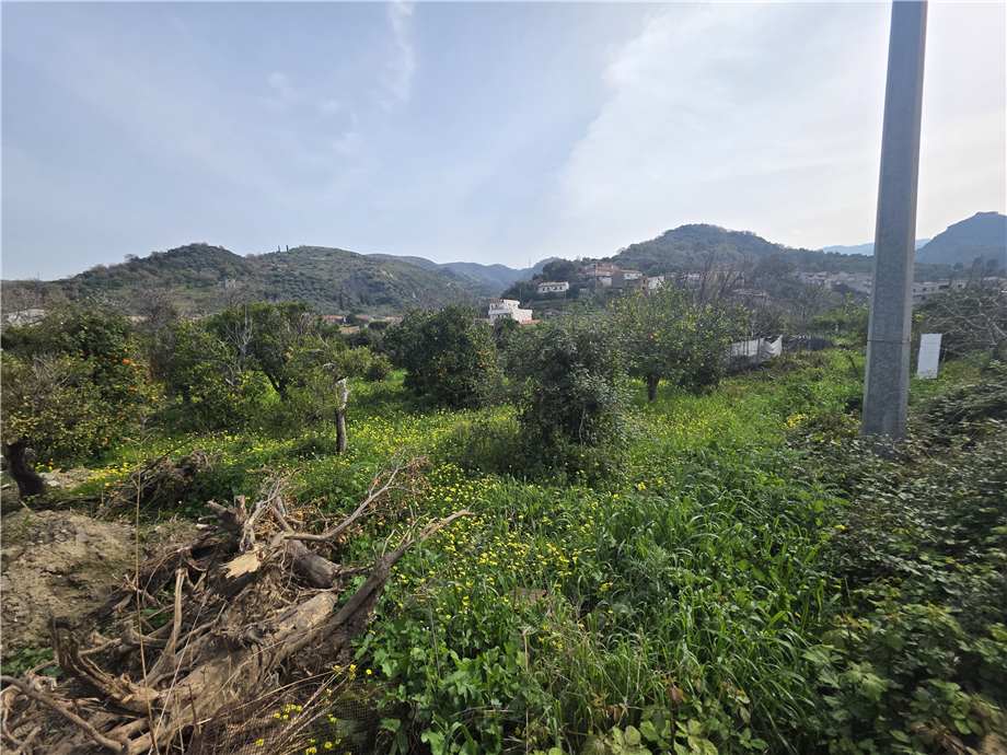 Vendita Terreno Saponara Via Kennedy, 35d #187 n.8