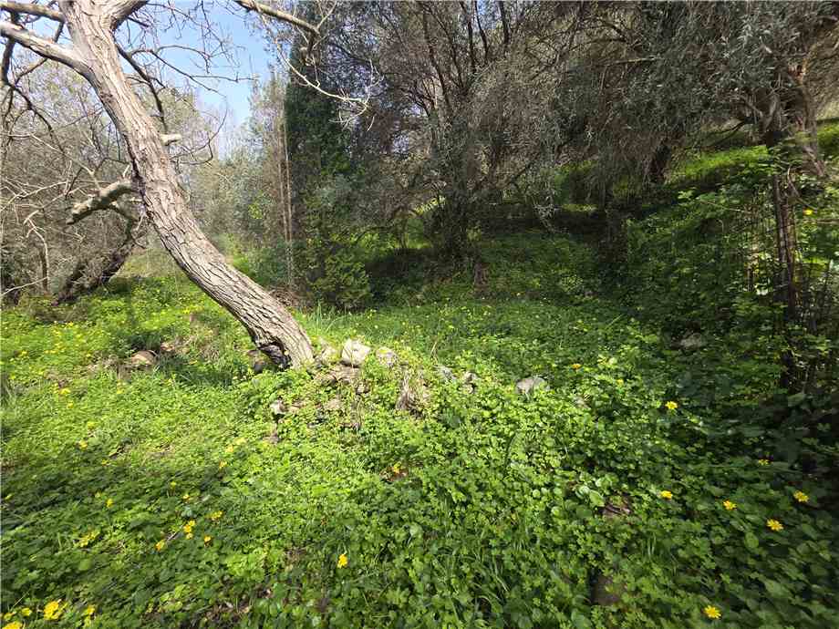 Venta Villa/Casa independiente Saponara Via Roma, 245 #189 n.19