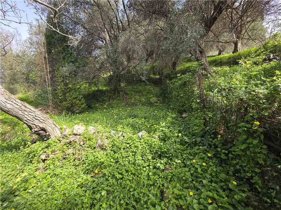 Venta Villa/Casa independiente Saponara Via Roma, 245 #189 n.20