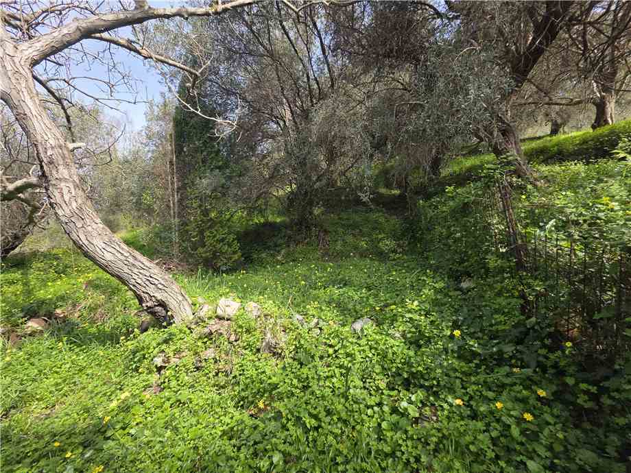 Venta Villa/Casa independiente Saponara Via Roma, 245 #189 n.22