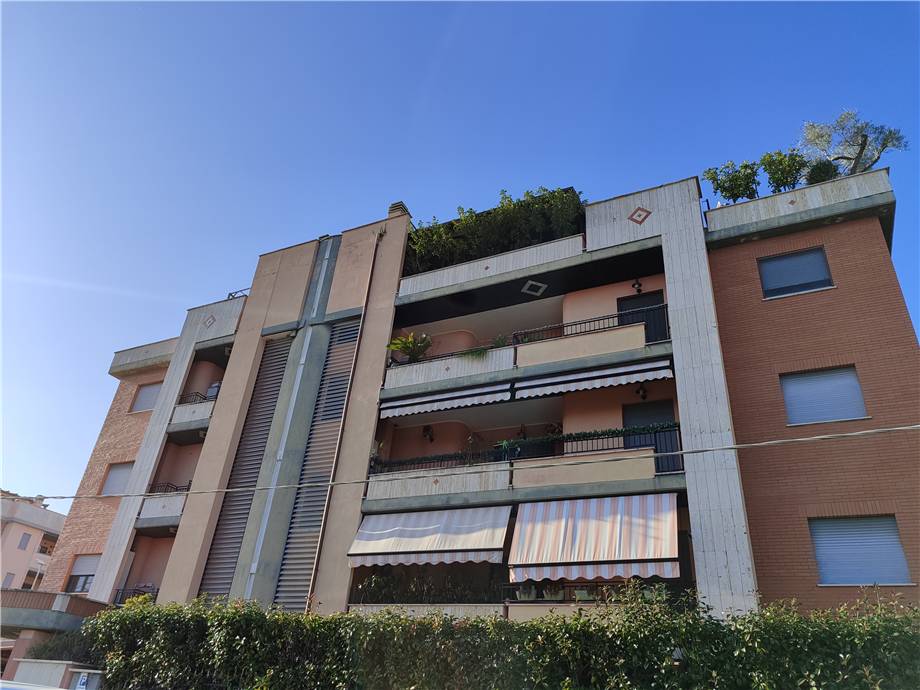 Piso Latina 171