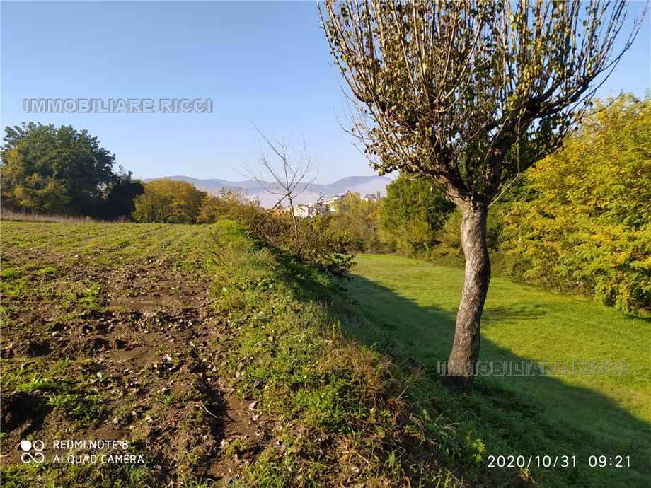 For sale Land Pontecorvo  #89 n.6