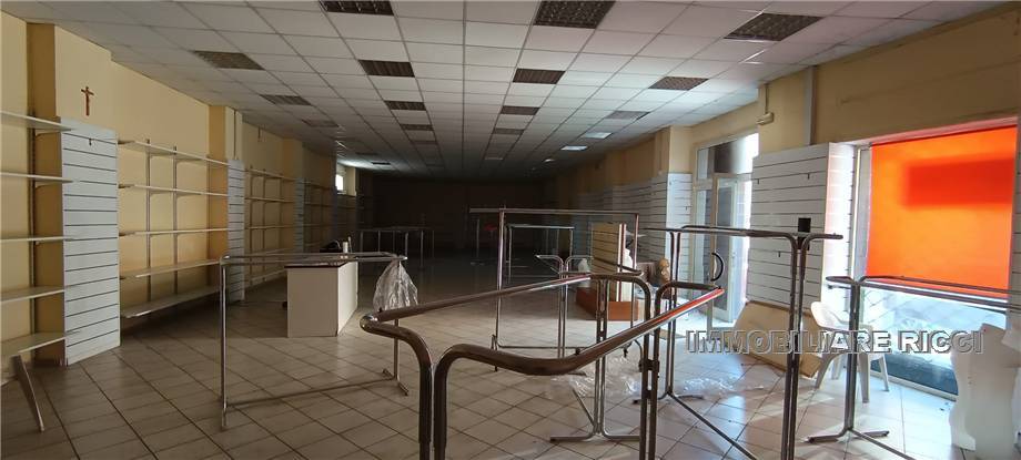 Venta Otras actividad comerciales Pontecorvo #239 n.8