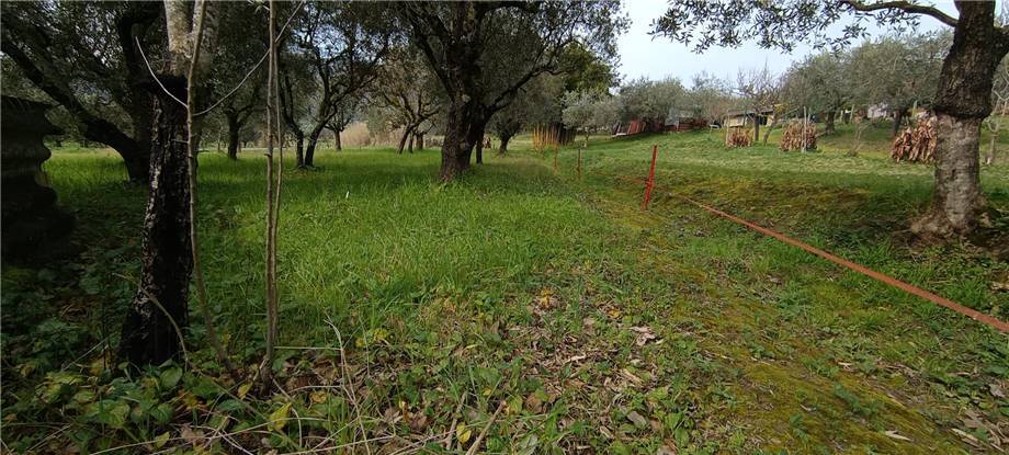 Vendita Rustico/Casale Pico #293 n.16