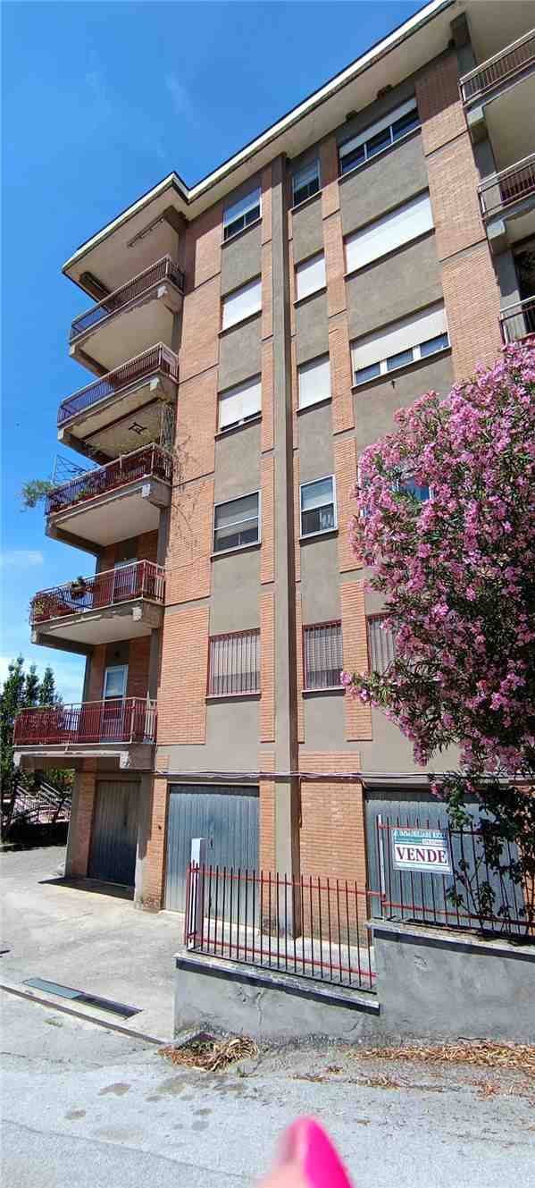 Vendita Appartamento Pontecorvo  #294 n.18