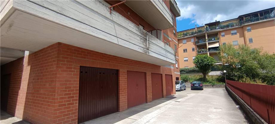 Vendita Appartamento Pontecorvo  #301 n.16